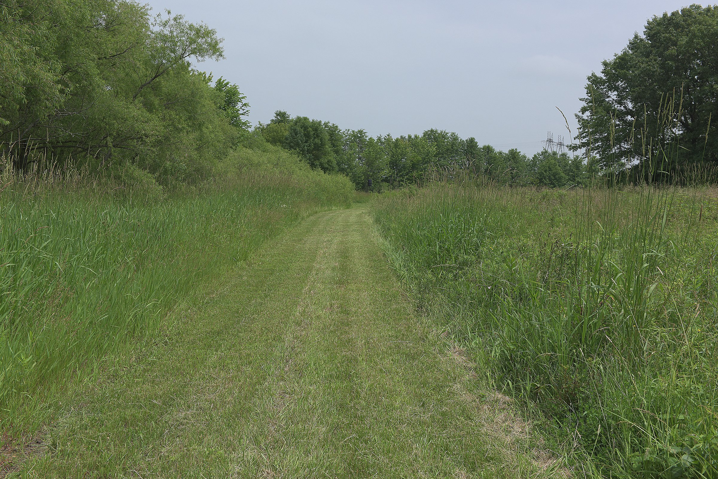 Lake County, Indiana farmland - LAND AUCTION - 147+/- ACRES OFFERED IN 3 TRACTS IN LAKE COUNTY, INDIANA